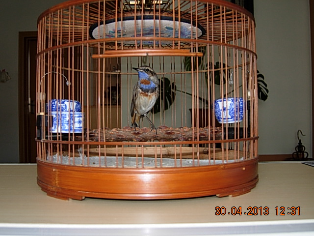 DSCN2197.JPG