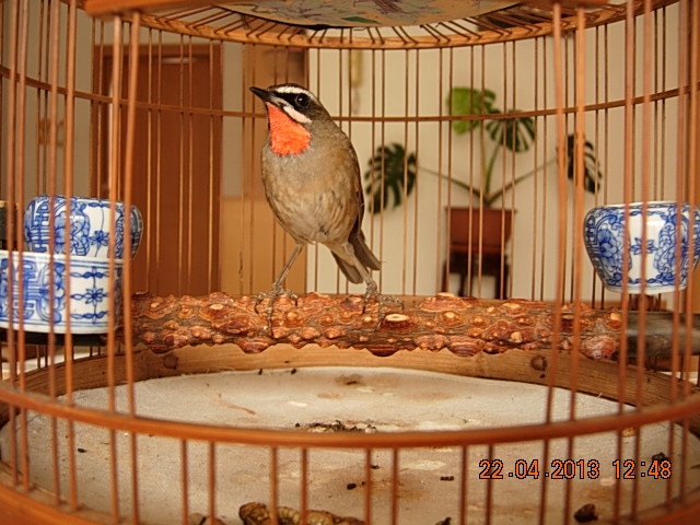 DSCN1745.JPG