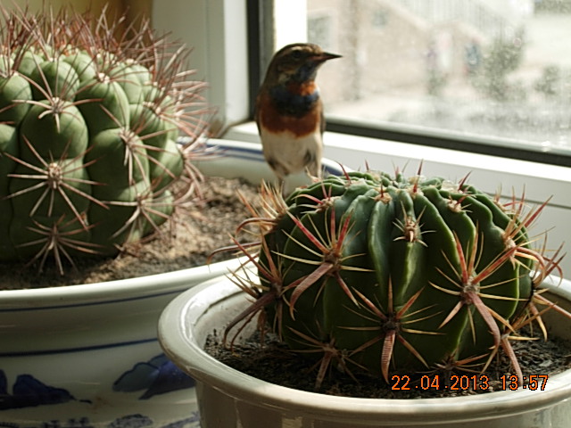 DSCN1773.JPG