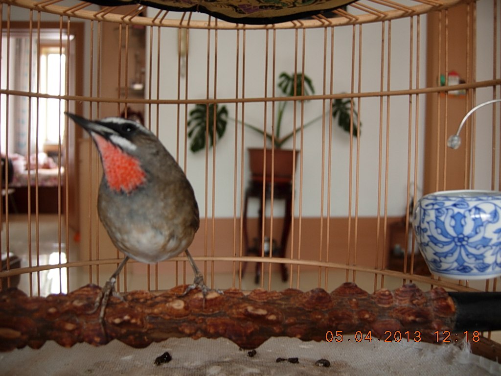 DSCN1410.jpg