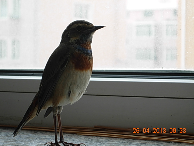 DSCN2089.JPG