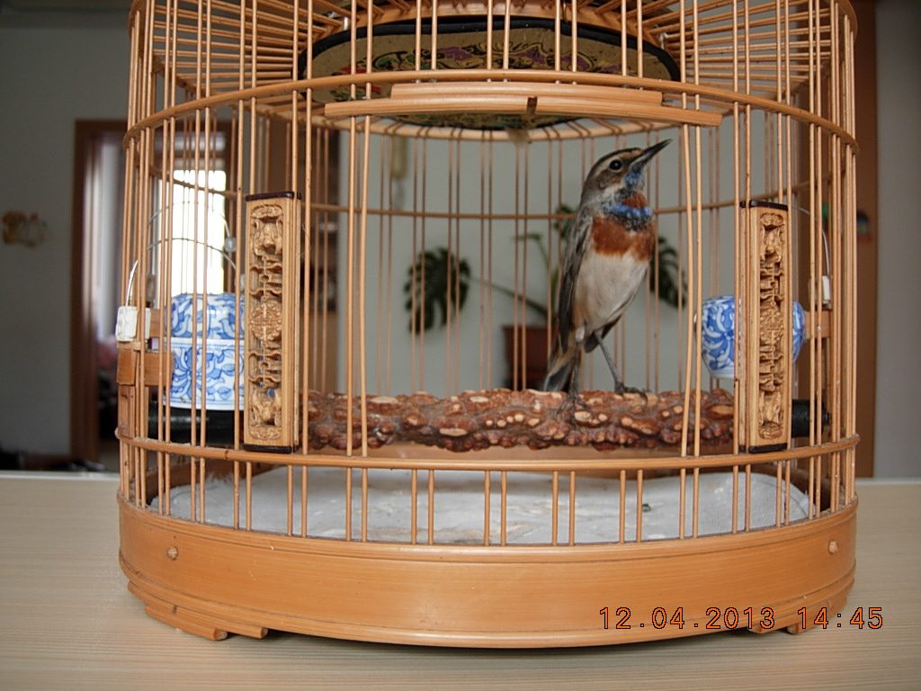 DSCN1510.jpg