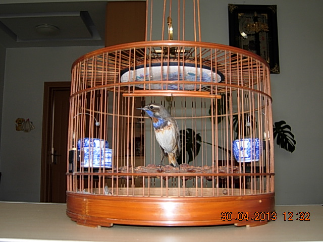 DSCN2207.JPG
