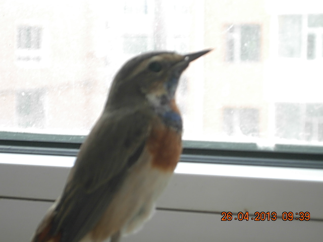 DSCN2097.JPG