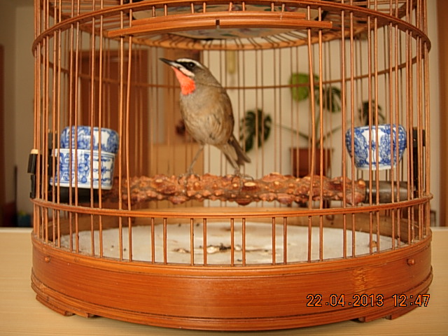 DSCN1736.JPG