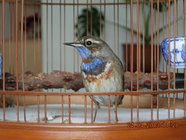DSCN1871.JPG