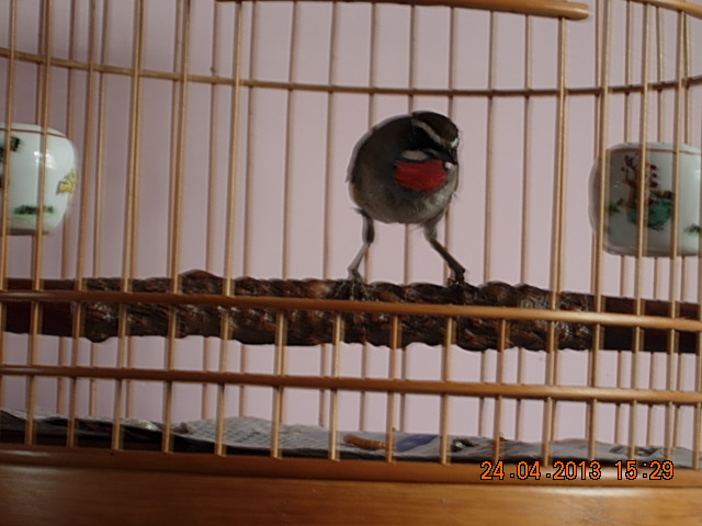 DSCN1995.JPG