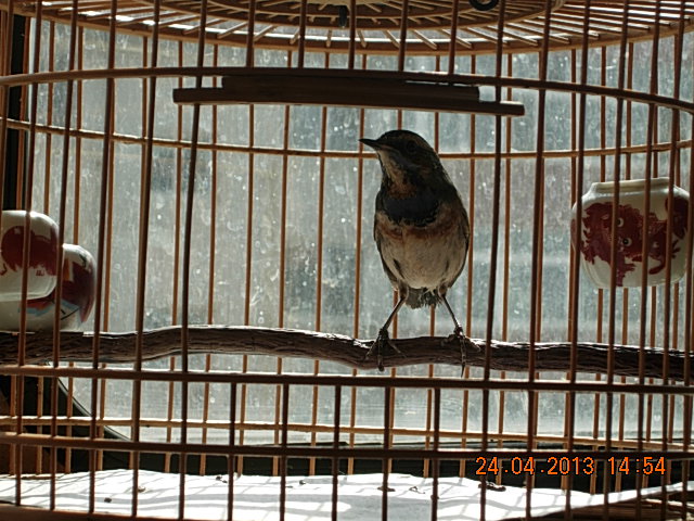 DSCN1966.JPG