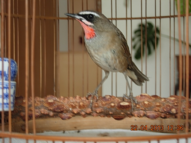 DSCN1711.JPG