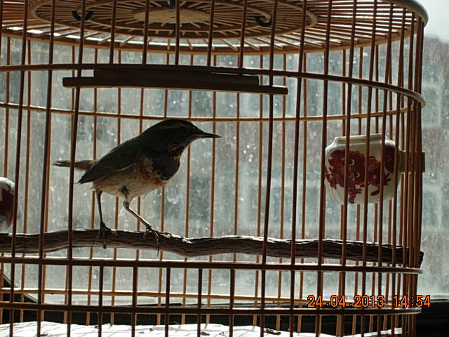 DSCN1968.JPG