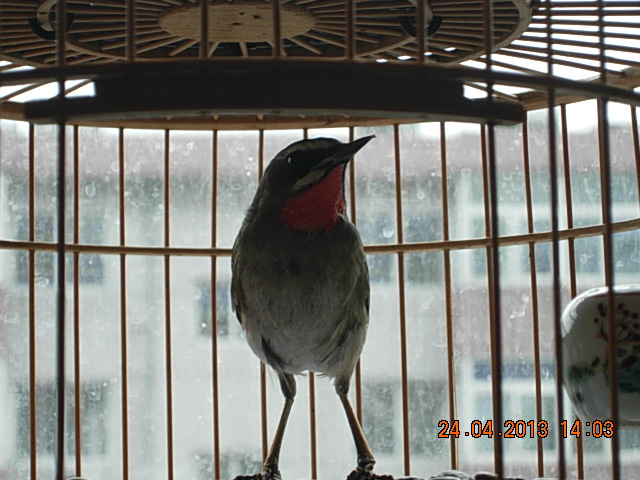 DSCN1891.JPG