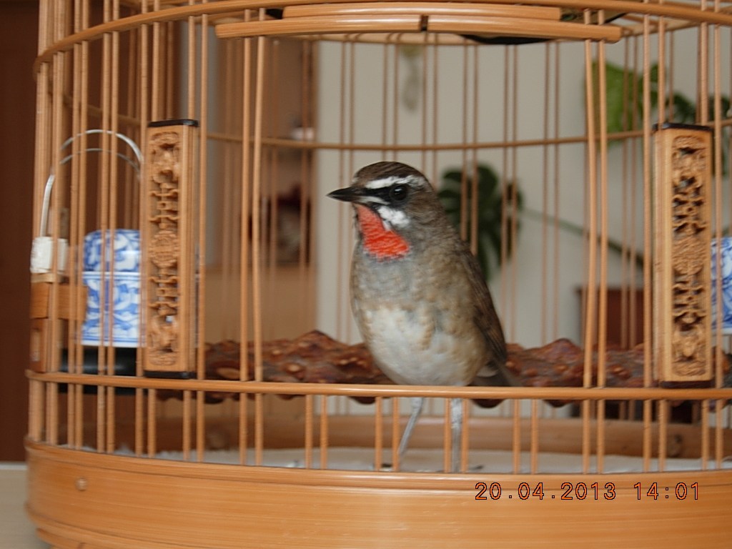 DSCN1562.jpg
