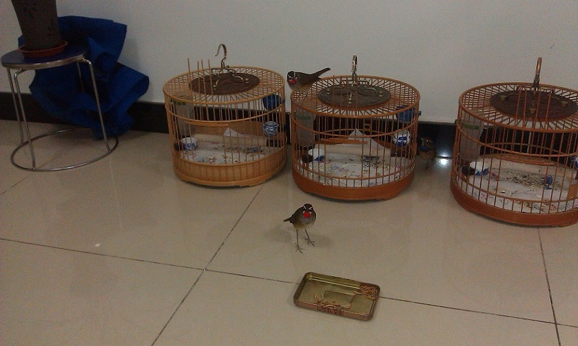 IMAG0747.jpg
