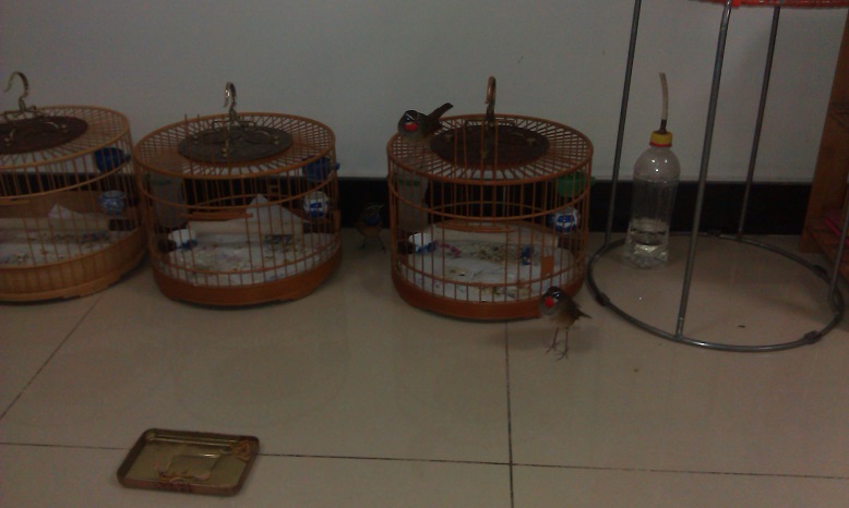 IMAG0744.jpg