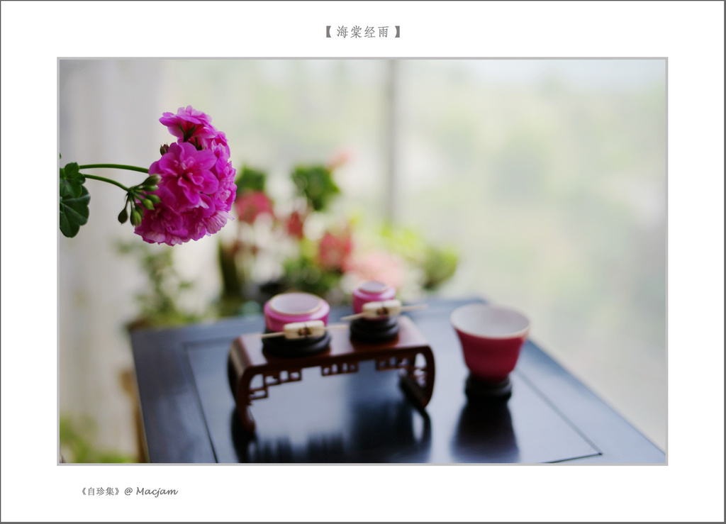 nEO_IMG_L1000176.jpg
