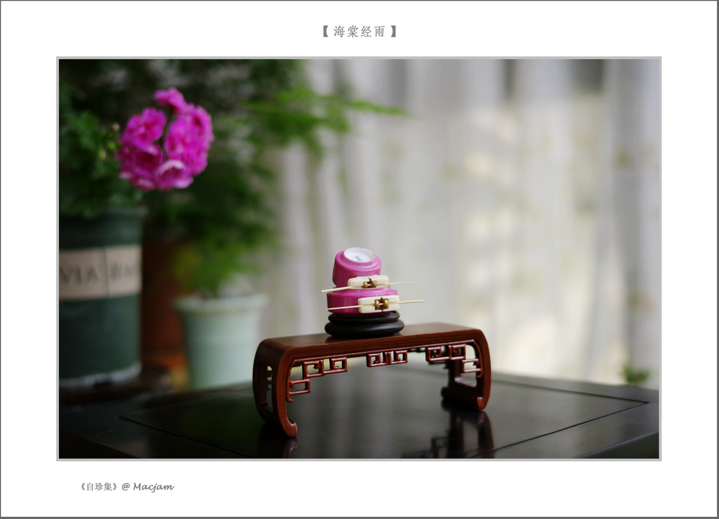 nEO_IMG_L1000165.jpg