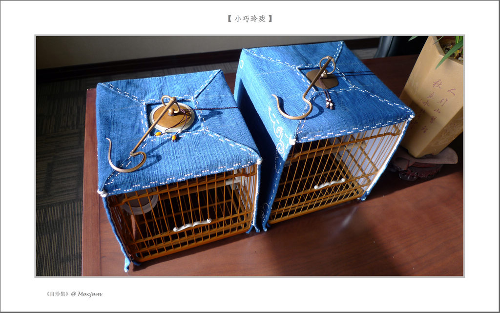 nEO_IMG_L1130146.jpg