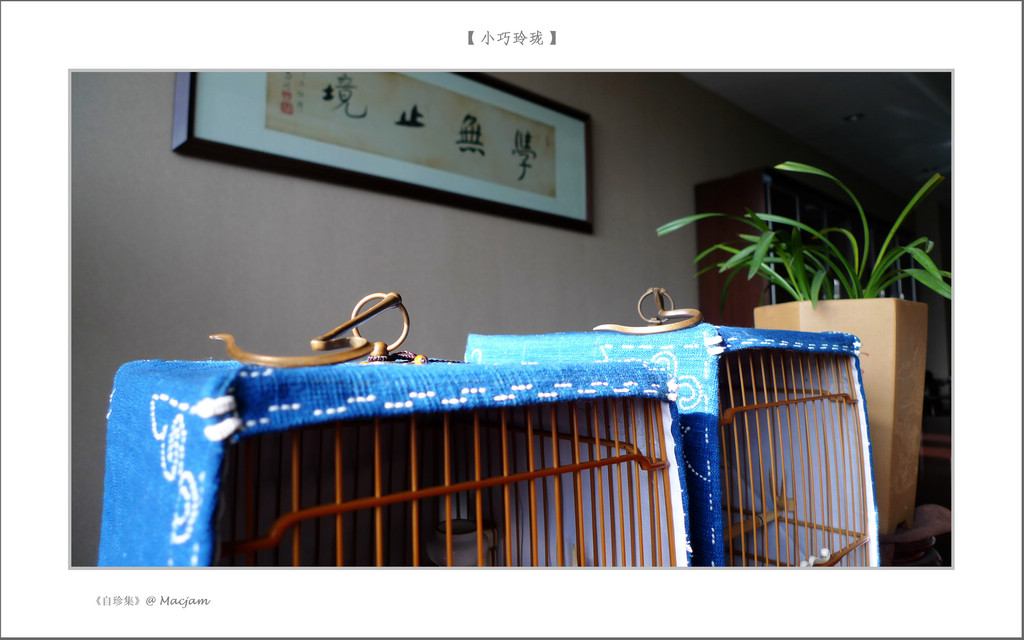 nEO_IMG_L1130152.jpg