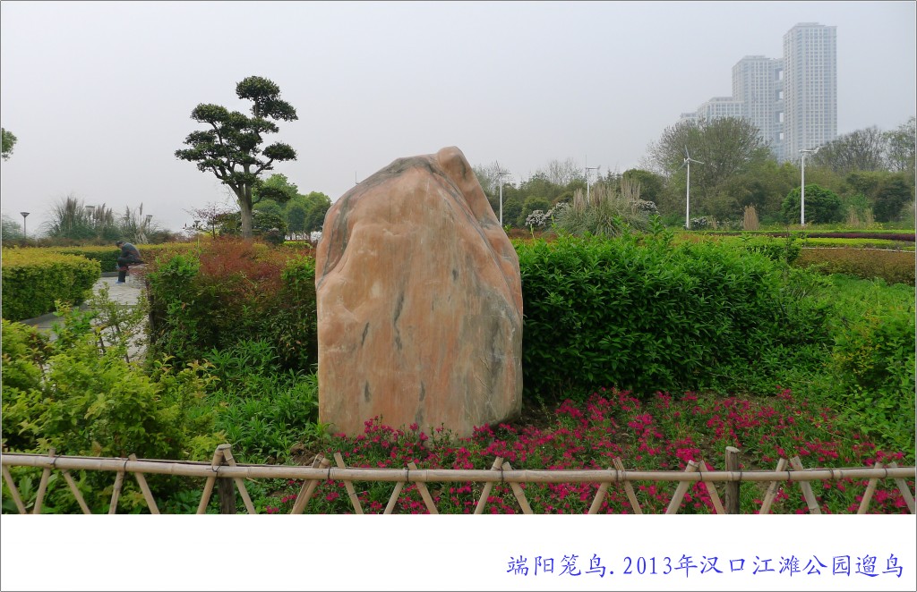conew_p1070568_conew1.jpg