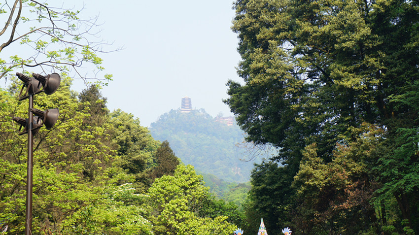 DSC03136_副本.jpg