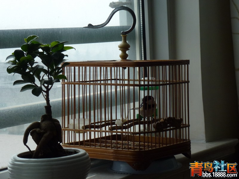 P1010541_调整大小.JPG