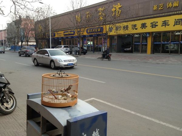 街上溜红子.jpg