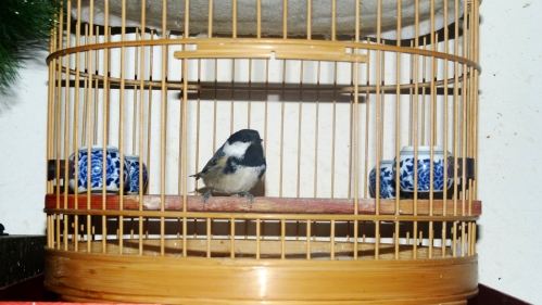 p1140134_conew1.jpg