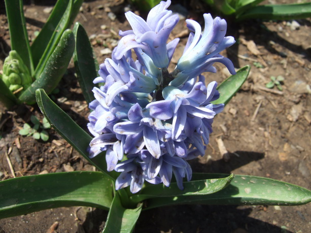 DSCF2650_调整大小.JPG