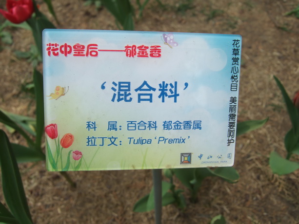 混合料 (4).JPG