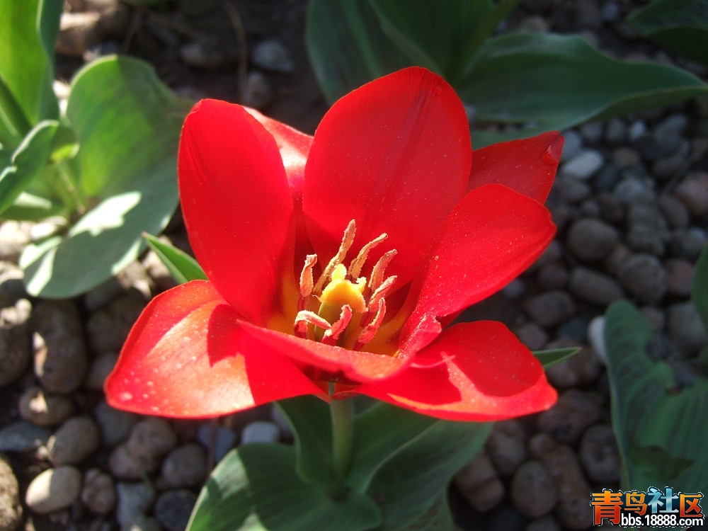 images317.jpg