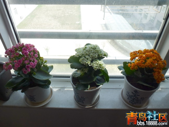P1010970_调整大小.jpg