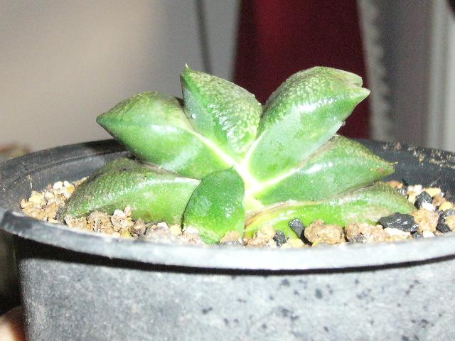 2012.6.4 439.jpg