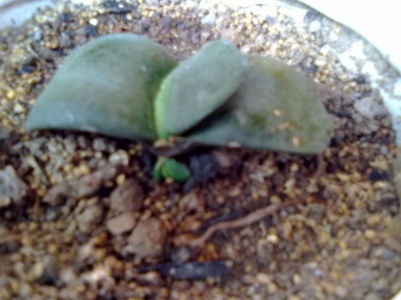 201305051512.jpg