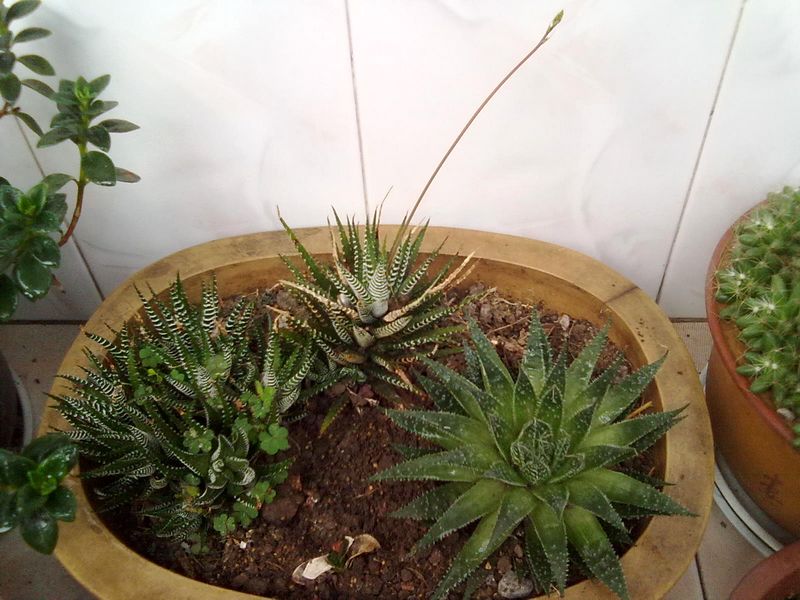 201305051518.jpg