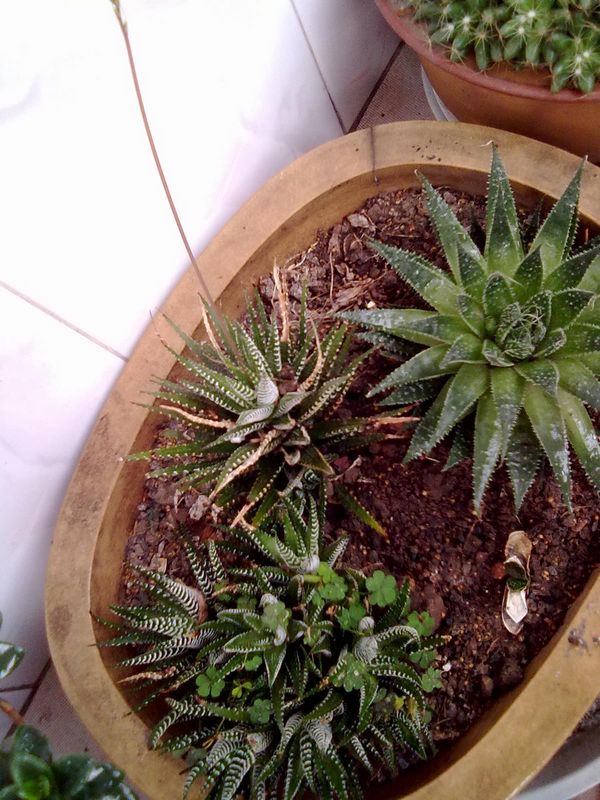 201305051542.jpg