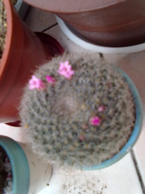 201305051515.jpg
