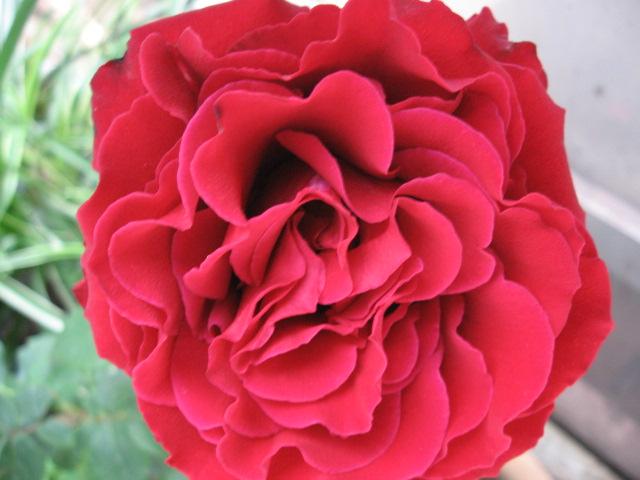 2013-05-10 047.jpg