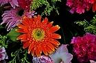u=2782353421,1984257119&amp;fm=11&amp;gp=0.jpg