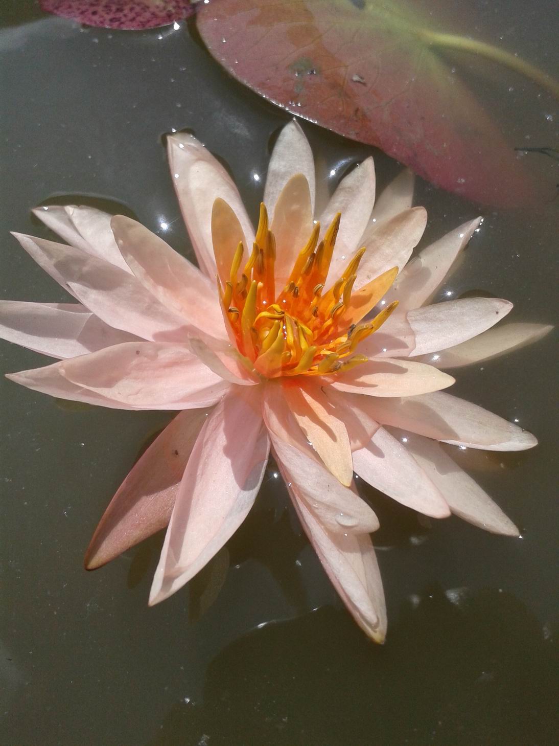 20130519_102419.jpg