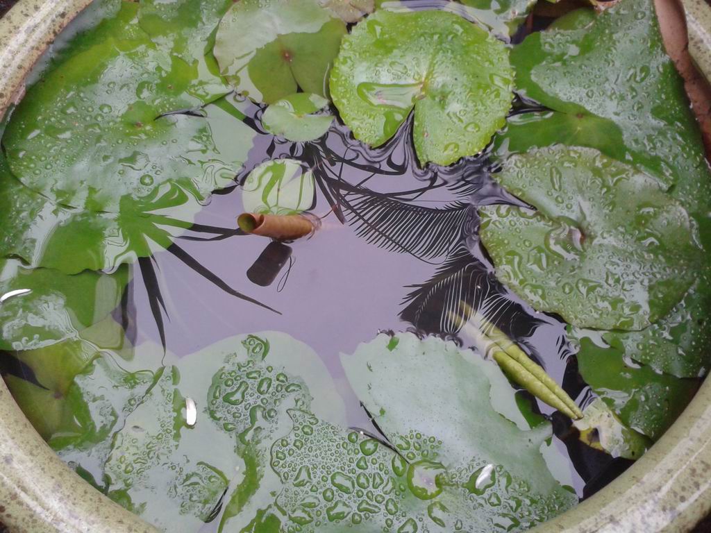 20130411_124447.jpg