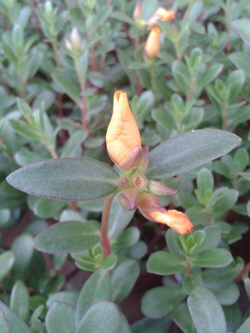 20130511_083800.jpg