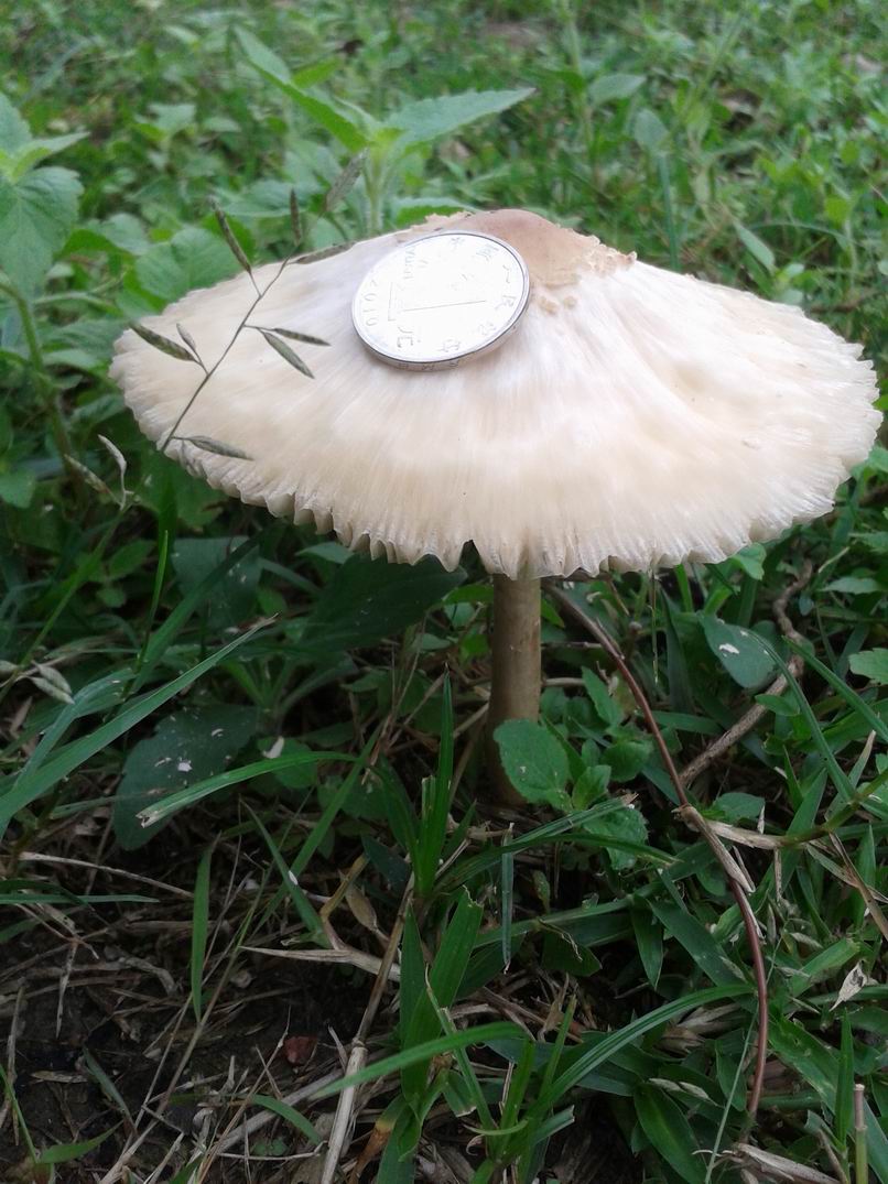 20130505_121301.jpg
