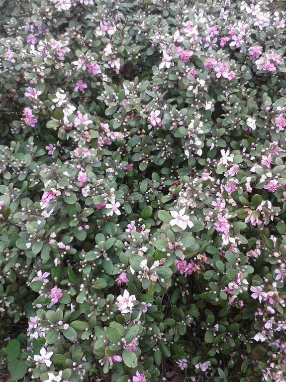 20130505_124116.jpg