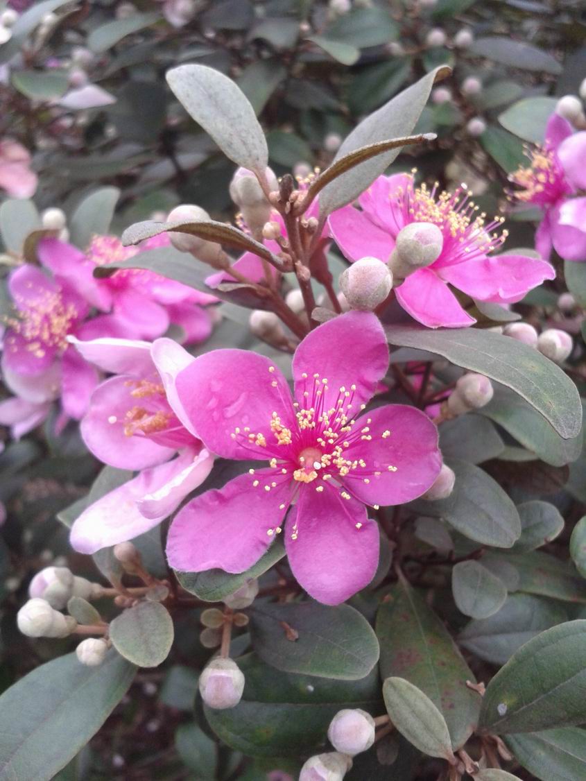 20130505_122822.jpg