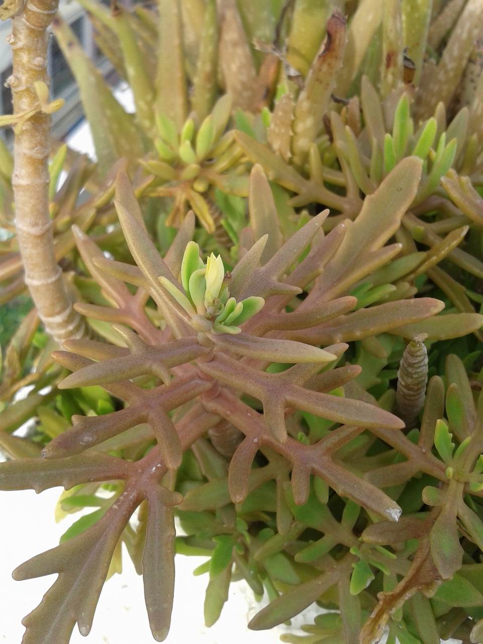 20130521_175616.jpg