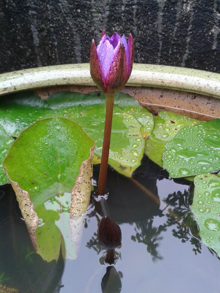 20130411_124513.jpg
