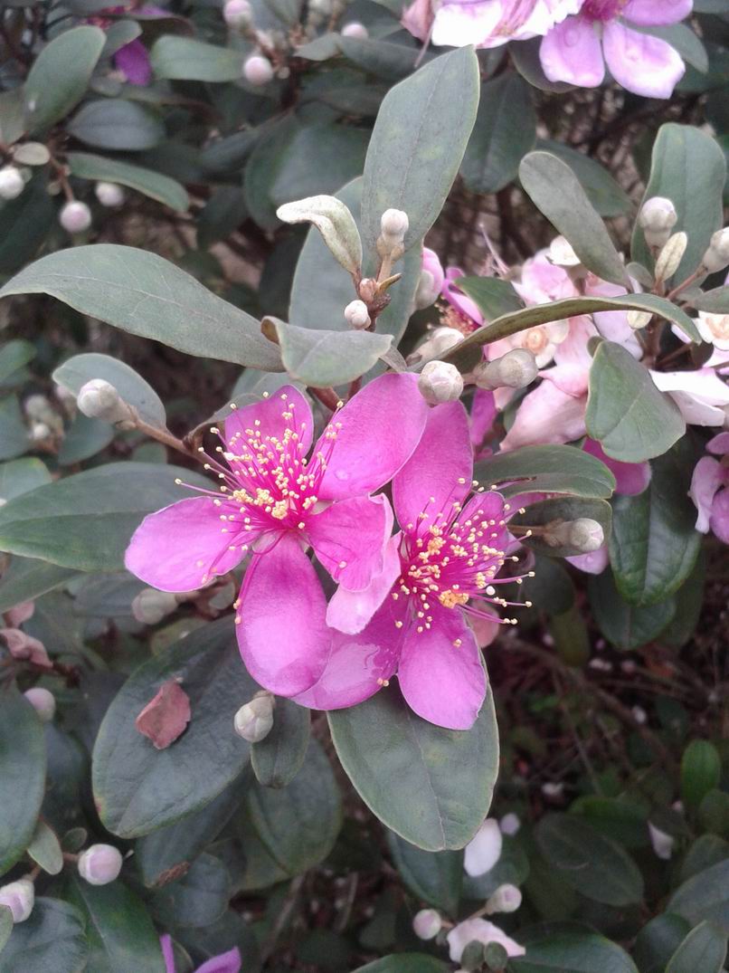 20130505_122816.jpg