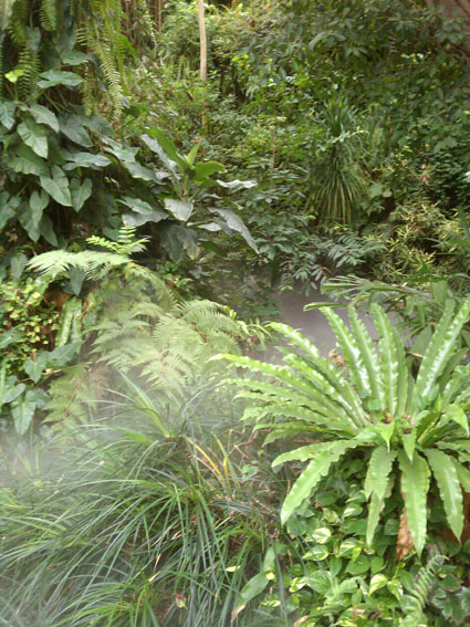 IMAG0910.jpg