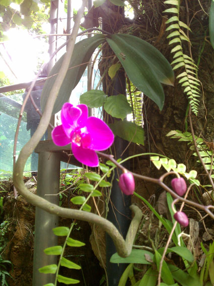 IMAG0913.jpg