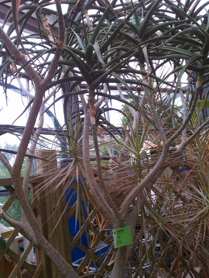 IMAG0882.jpg